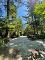 A gravel site with picnic table at Klahanie Campground - thumbnail
